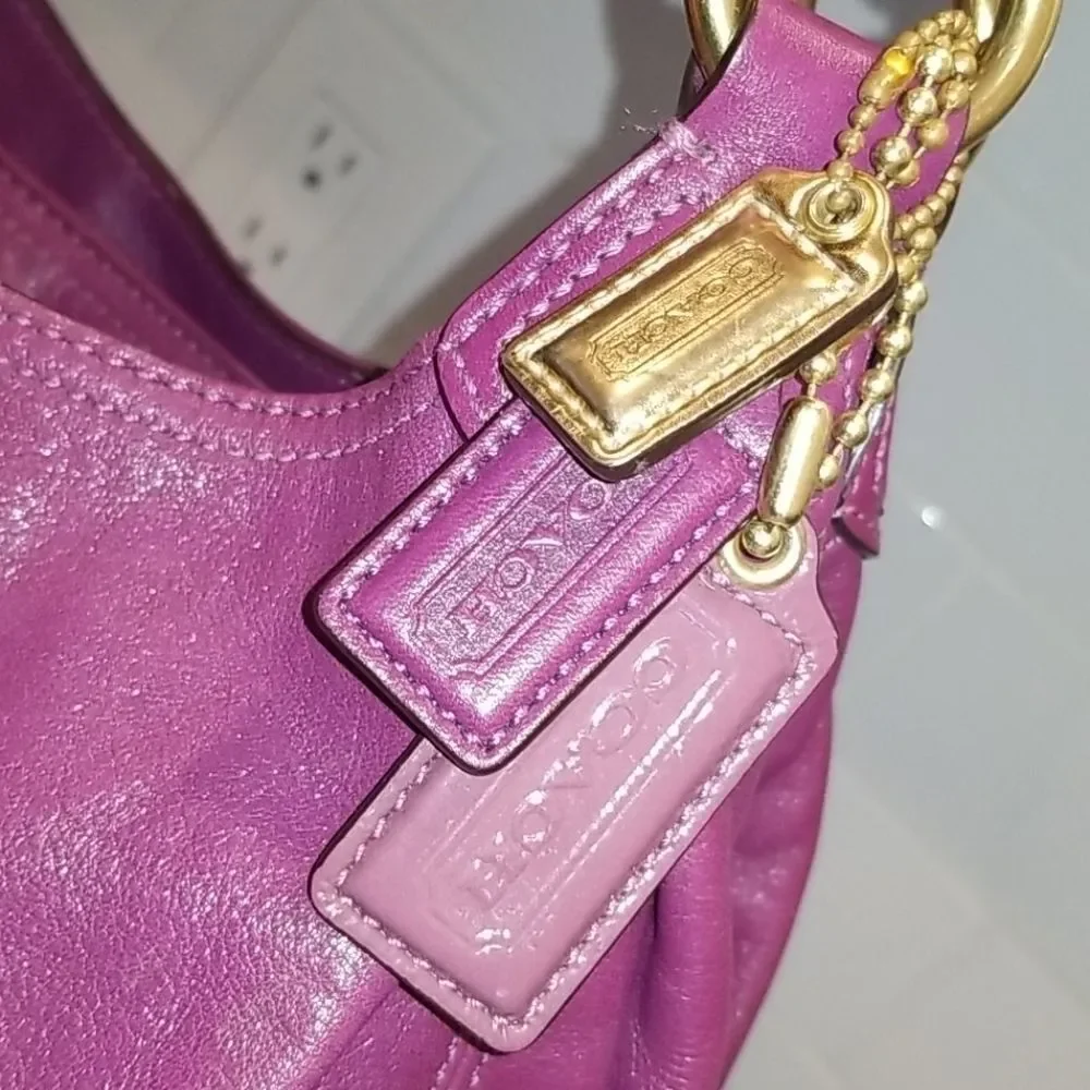 Coach Leather Bag_4